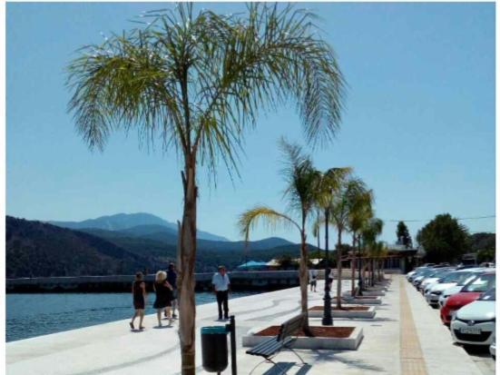 Elektra'S Apartment Central With Parking Argostoli  Exterior foto